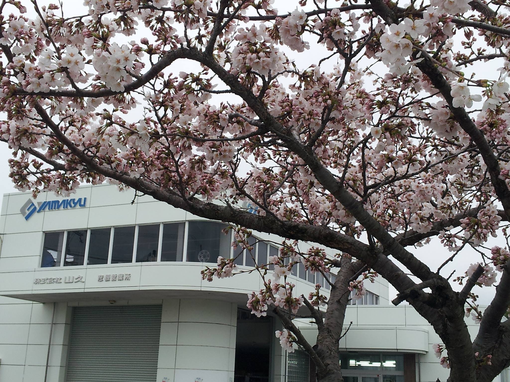 11083949_1002480023095652_7610030716075451518_o